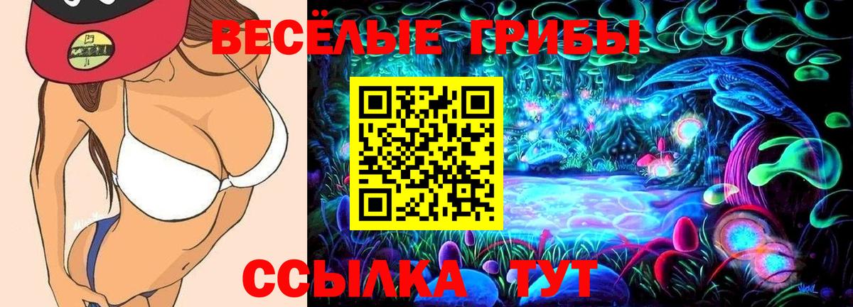 Галлюциногенные грибы ЛСД Нерюнгри