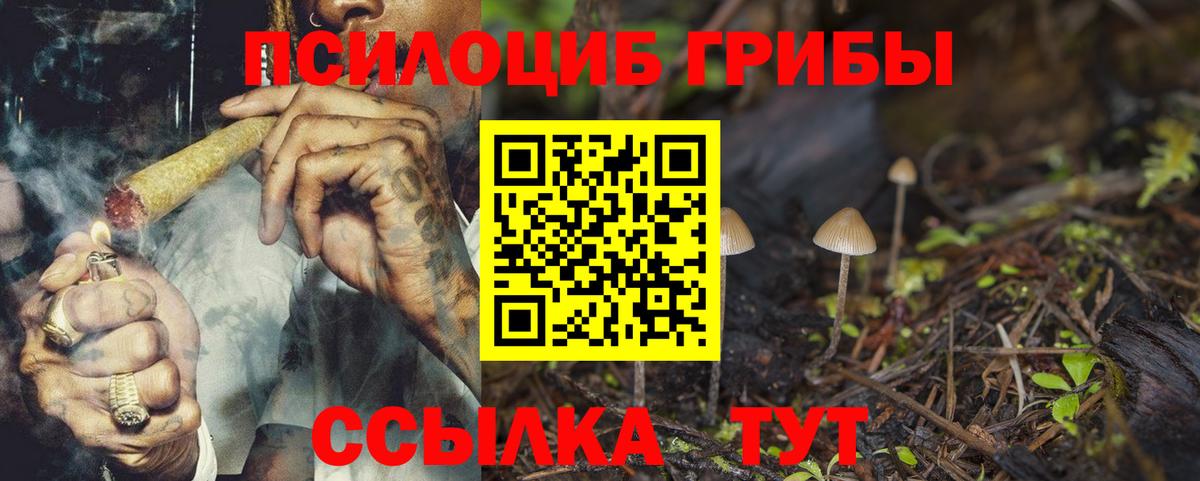 Нерюнгри  Псилоцибиновые грибы мухоморы  Вход с VPN  Псилоцибиновые грибы MAGIC MUSHROOMS 